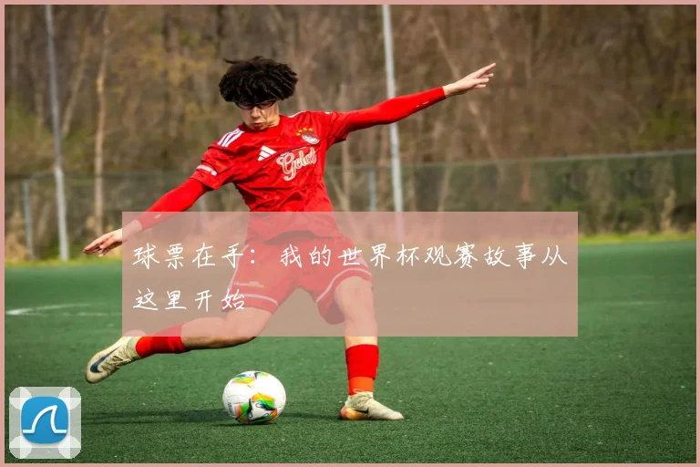 球票在手：我的世界杯观赛故事从这里开始